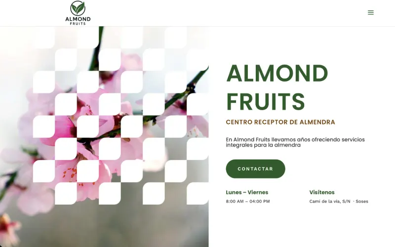 Web de Almond Fruits