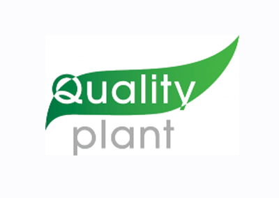 Quality Plant